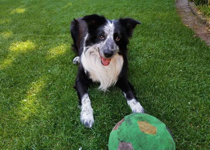 De Verwondering Prive Etage Met 2 Slaapkamers 3* خودا