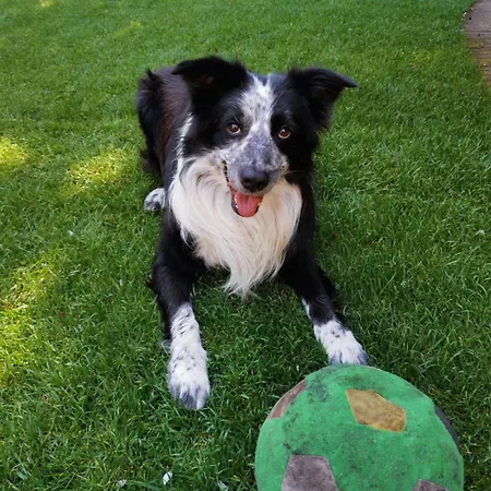 De Verwondering Prive Etage Met 2 Slaapkamers 3* Gouda